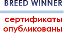 MCO / Мейн кун